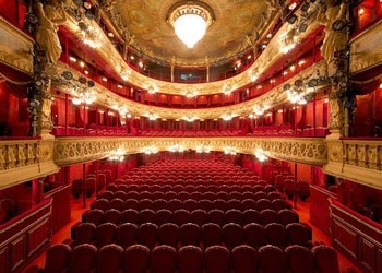 cédric keller théâtre du palais royal les trois mousquetaires le roi lion cours de théâtre chant à Paris adulte débutant avancé comédien acteur chanteur cinéma classe école stage formation professeur Éveil de l'Acteur